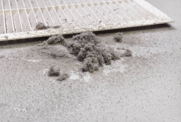 Best Affordable HVAC Duct Cleaning  in Marion, KS